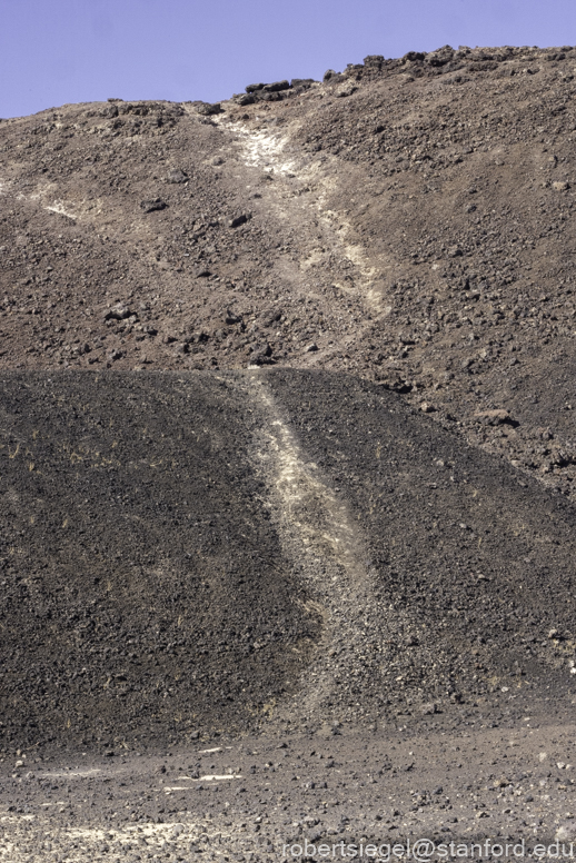 Desert Biogeography of Joshua Tree National Park